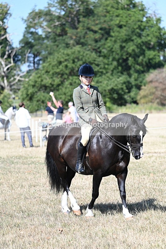 WJ7_3547 - Class 9 Mountain & Moorland Ridden