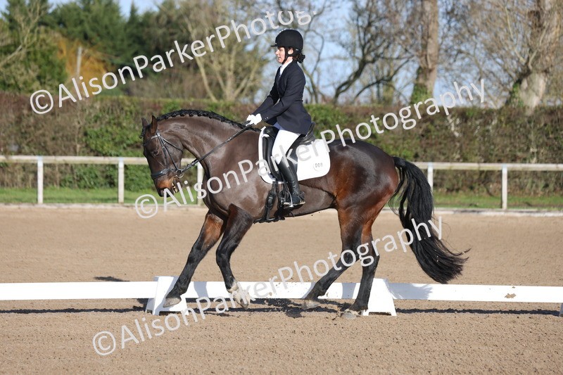 20260128-0234 - Class 3 - Novice 4