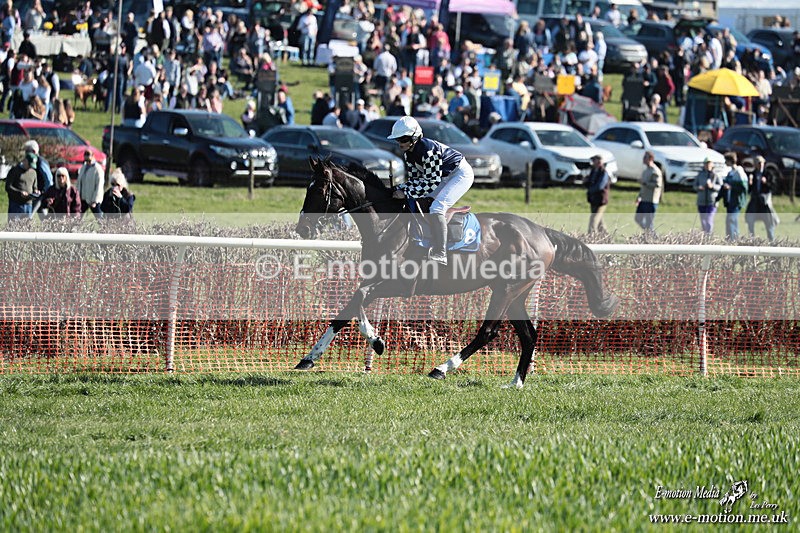 PtP 210326 307 - VWH Cirencester Races 21/03/26