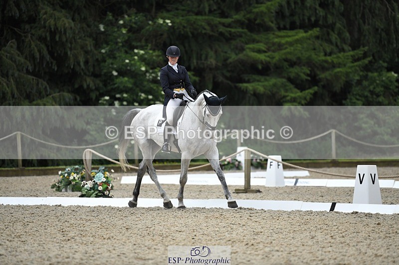 230525-114020-01876 - 102-BANDITO_VAN_POLDERZICHT-Grace_Taylor-WEDTrotUp+DR