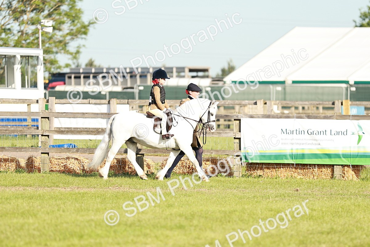 SBM_11044 - Class 106-107 - BSPS LIHS Working Sports Pony