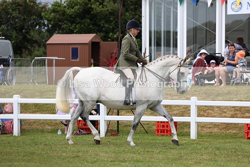 3E7A0828 - Class 8: Open Riding Horse/Hack