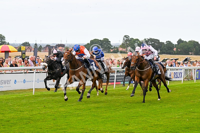 140824-Race 7-Willolarupi-7140 - Race 7