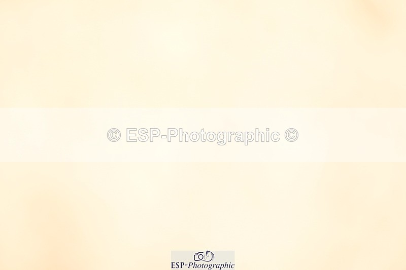 240323A-103710-01401 - DR Prelim 2