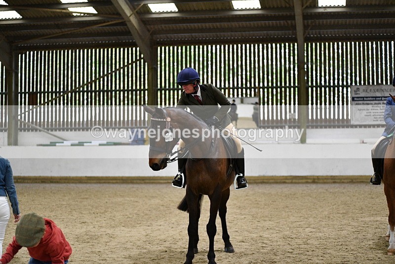WJ5_8072 - Class 13 Ridden Part Breed
