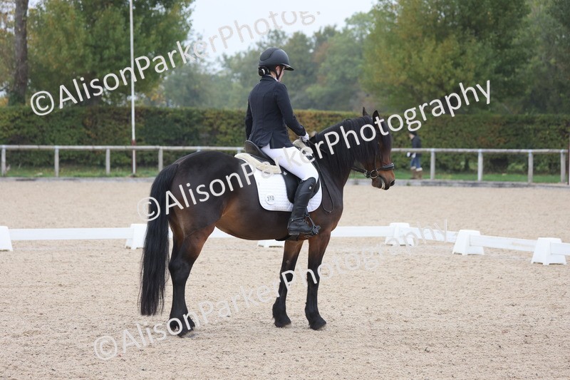 20251012-0537 - Class 4 - Novice 6