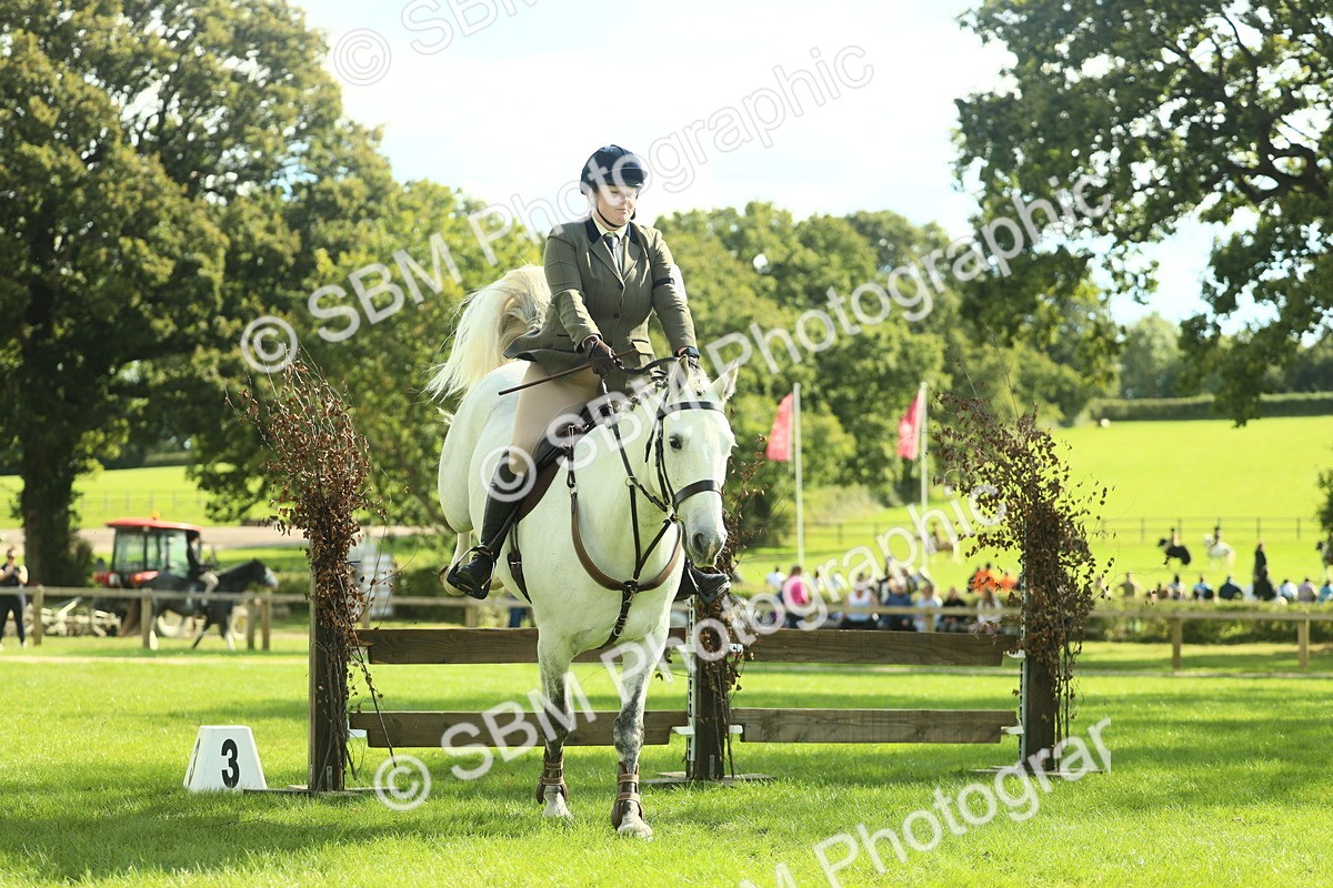 SBM_48055 - S32 - Novice & Newcomers Working Hunter