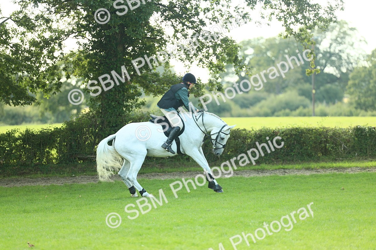 SBM_50574 - S33 - Working Hunter & Working Show Horse