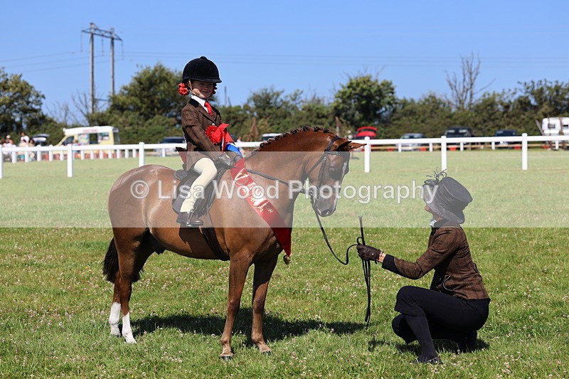 IMG_1852 - Plaited Mini Ridden Championship
