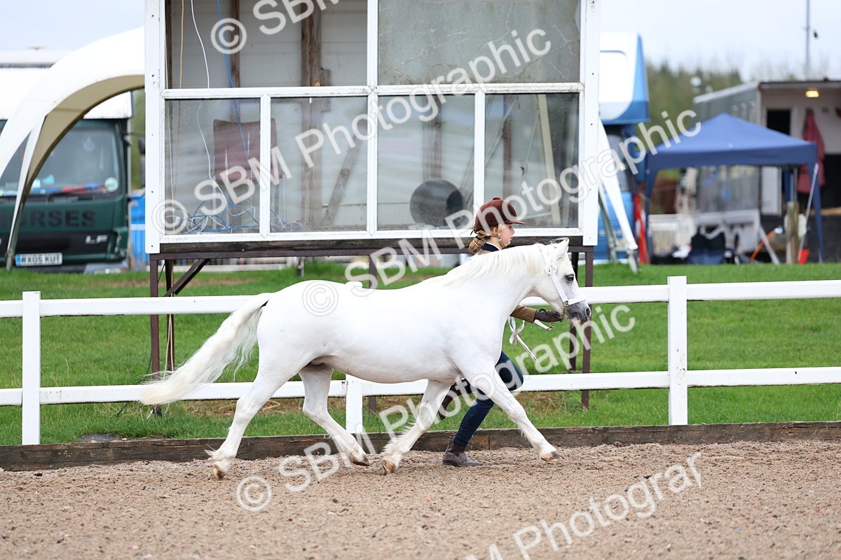 SBM_00230 - Class 13 - Young Handler