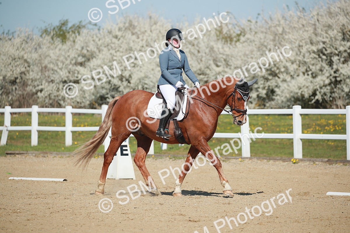 SJ3_0751 - Class 5 - N5