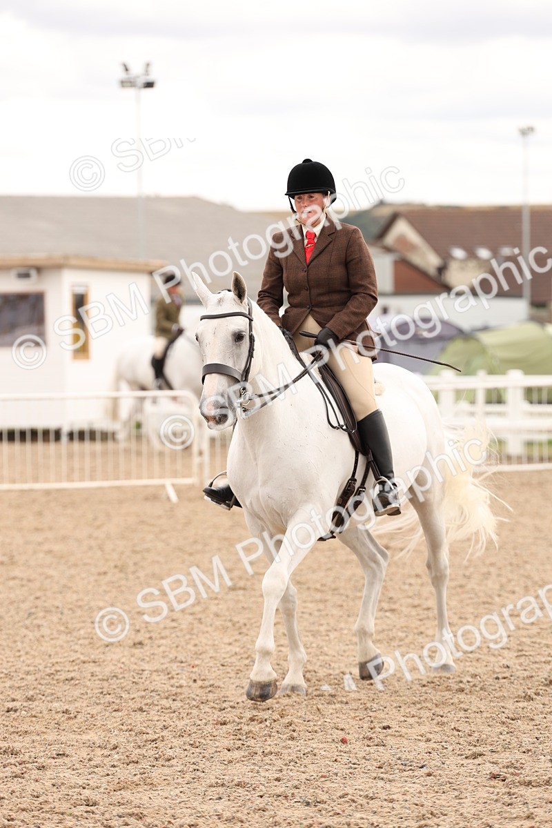 SBM_16495 - Class 212 - Ridden Hunter - Small