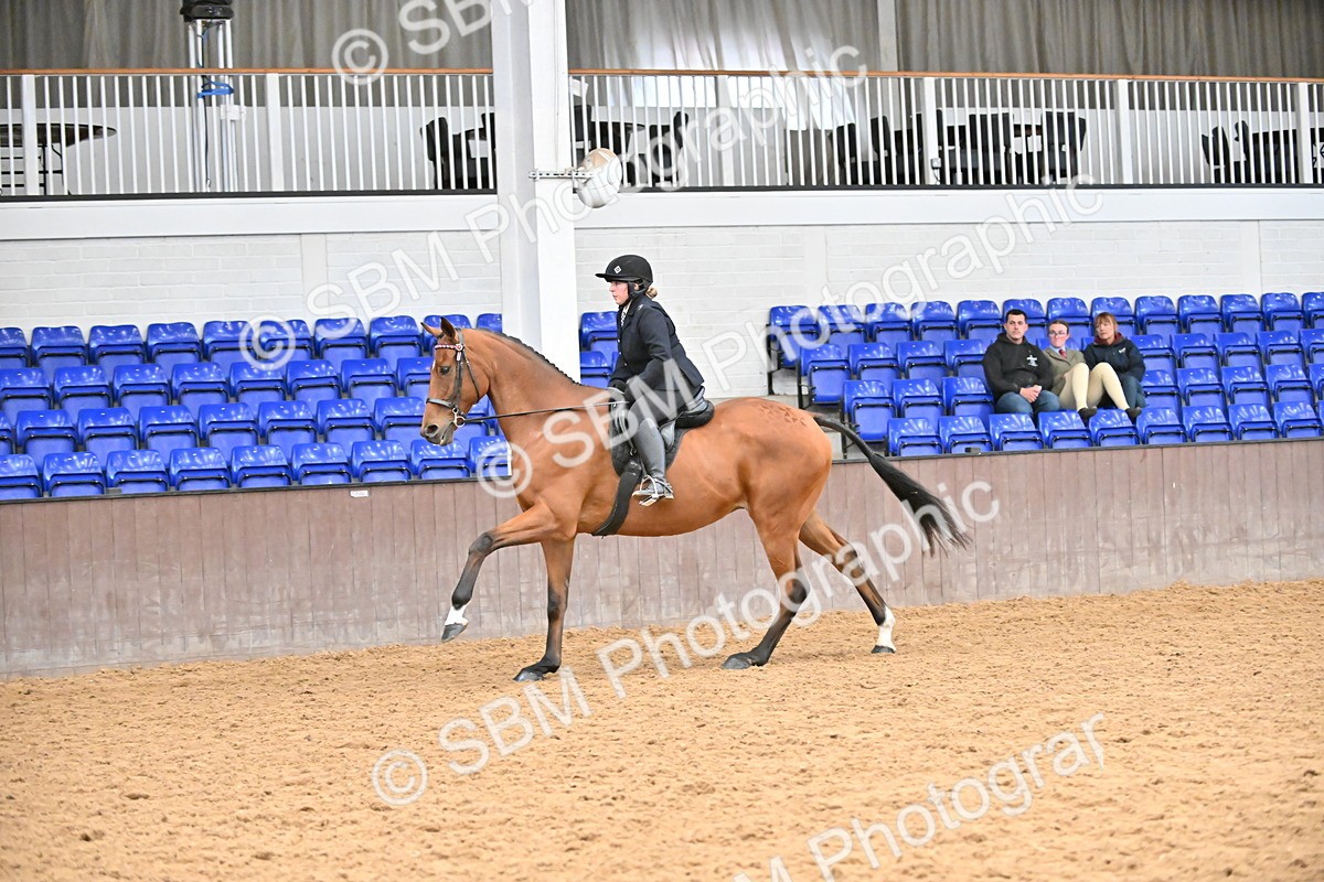 SBM_001947 - Class 25 - Tattersalls ROR Amateur Ridden