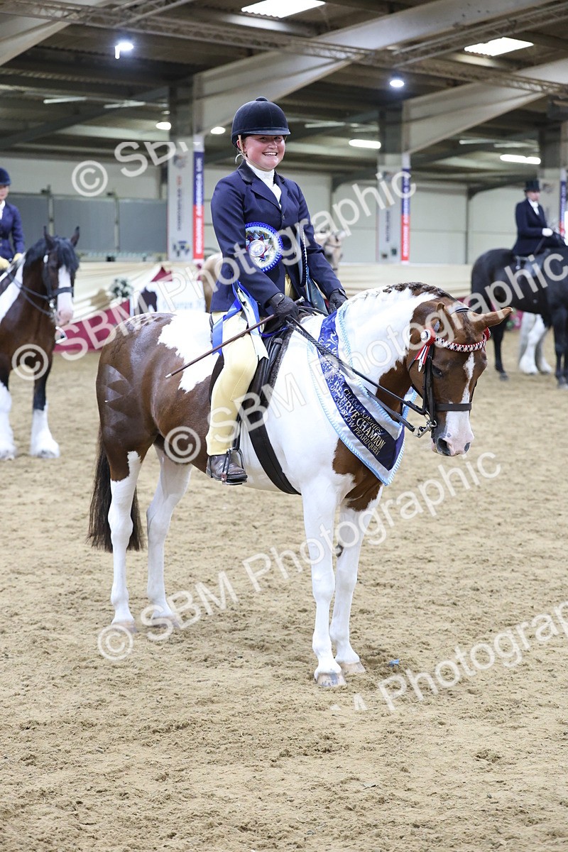 SBM_20251 - Class D - Grass Roots Champ