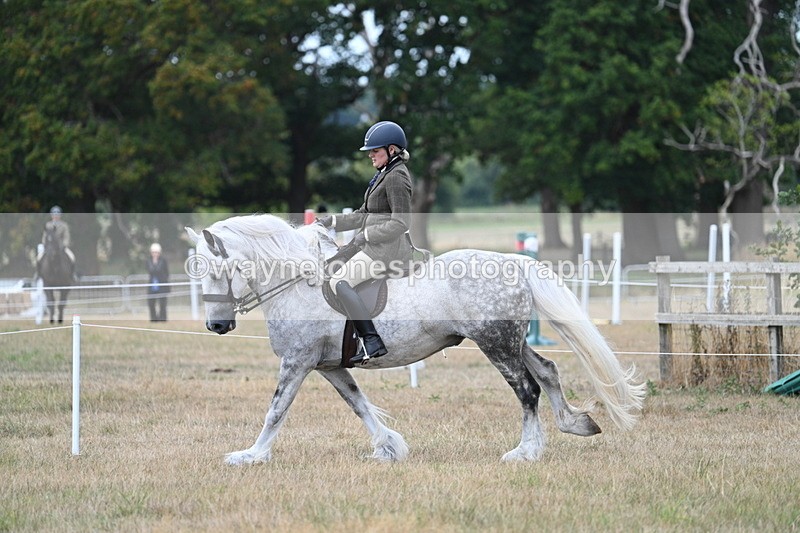 WJ7_5145 - Class 12 Ridden Cob