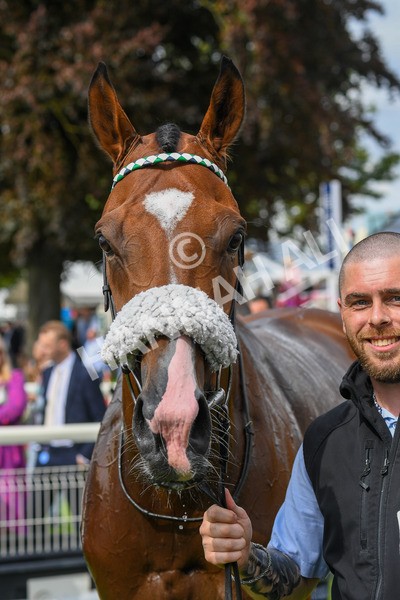 250823-Race 2-Coltrane-0373 - Race 2 2.25pm Weatherbys Hamilton Lonsdale Cup Stakes