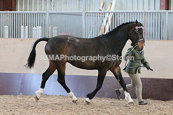 SIAL9676 - Indoor Classes