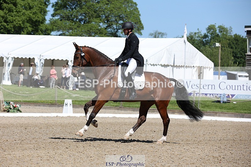 230526-105642-05349 - 365-BWE_NEWTON_DE_JASPER-Adam_Harvey-WEDTrotUp+DR