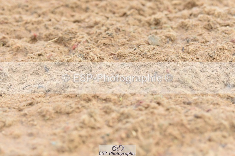 250622-122952-14538 - Quest Cls 31-35 Novice Tests