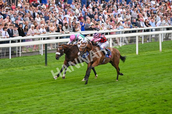 230825-Race 2-Tarriance-0017 - Race 2 2.25pm Sky Bet Melrose Handicap