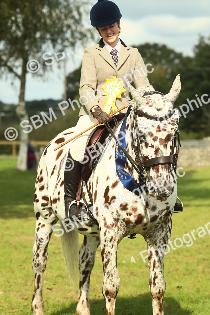 SBM_62529 - S62 - Foreign Breeds Ridden