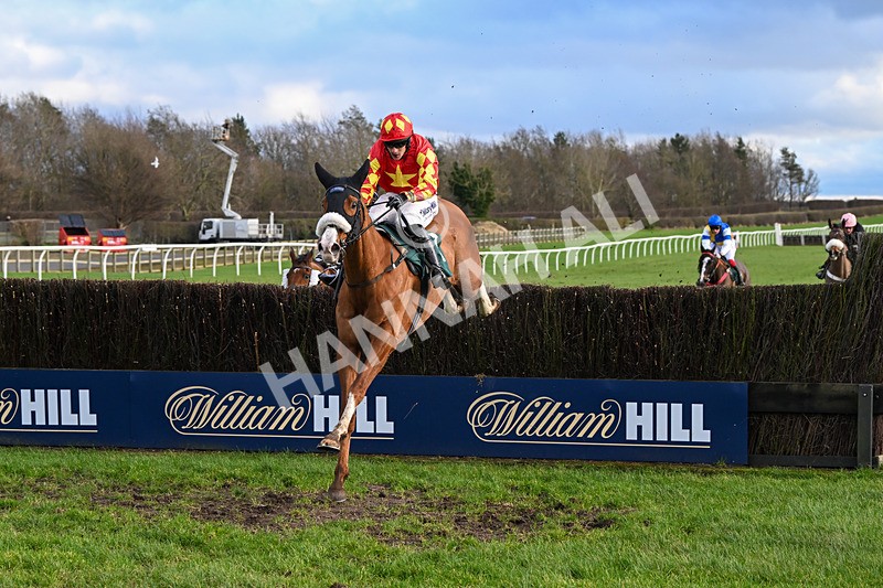 020224-Race 4-Treaty Boy-8337 - Race 4