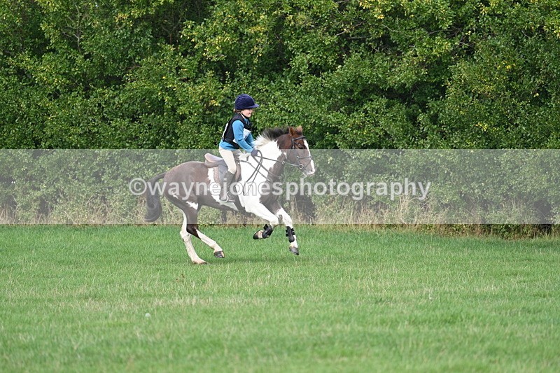 WJ7_8423 - 60cm Pairs