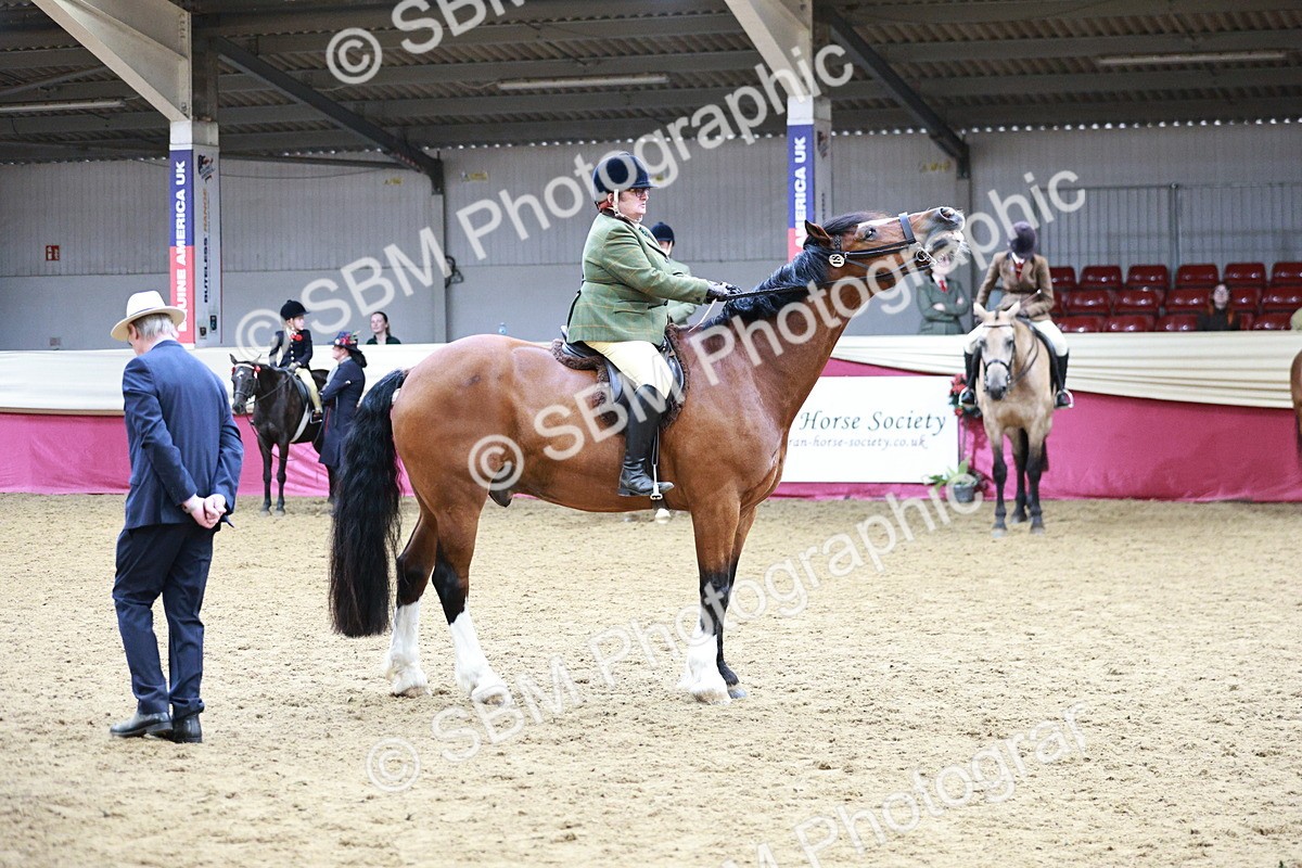 SBM_03607 - Class 6A Area Ridden Pre-Vet
