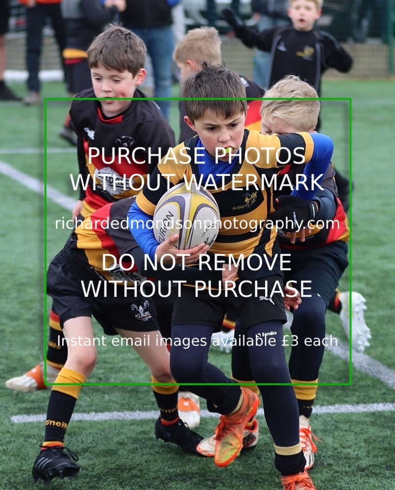 IMG_1812 - Kendal Junior Rugby U9 vs Kirkby Lonsdale U9 (14/1/24)