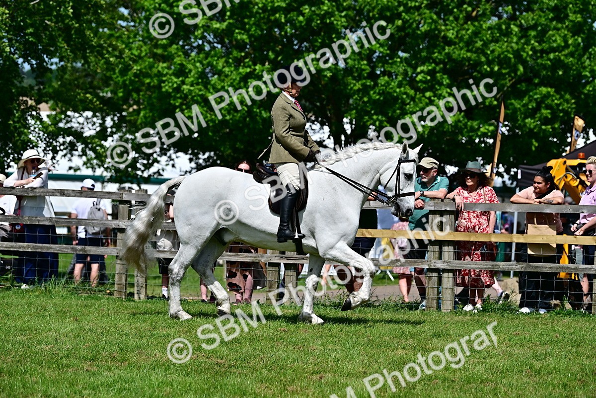 SBM_07887 - Class 61-62 - TSR  M&M Ridden Amateur of the Year