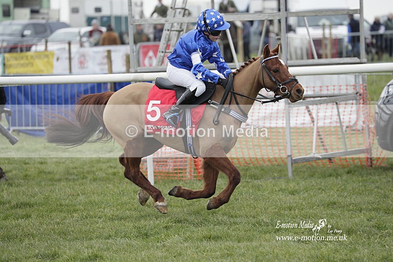 PtP 050323 44 - Blackmore & Sparkford Vale Hunt PtP - Somerset 05/03/23