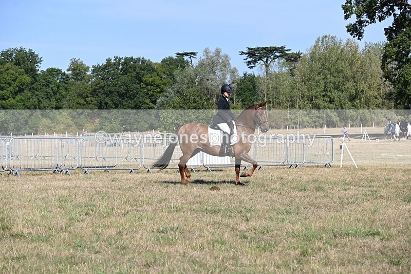 WJ6_7221 - Class 33 Rescue Pony