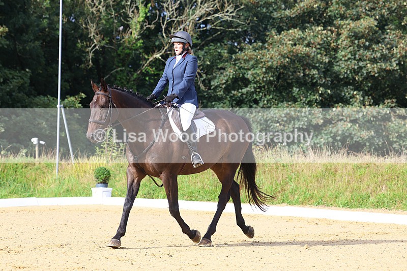 3E7A2142 - Class 1: Intro 4 2024 section A