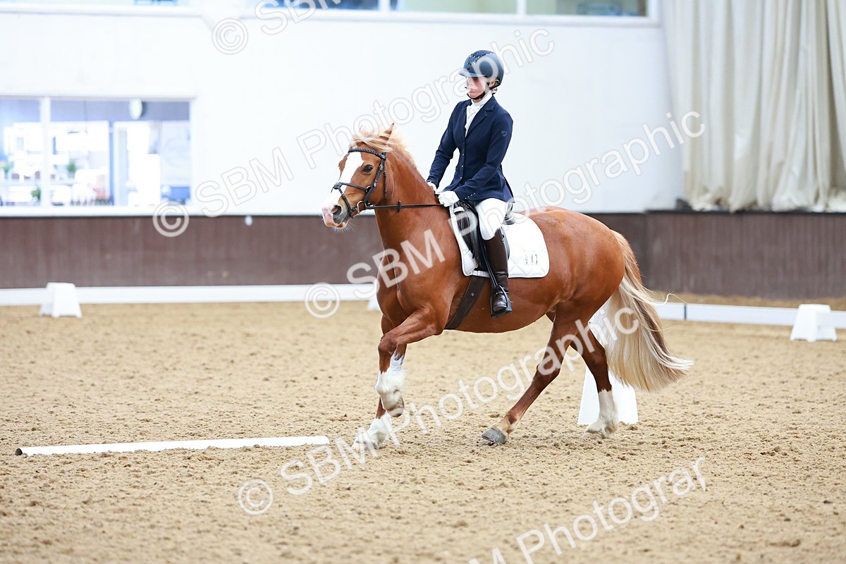 SBM_000491 - Class 3 - Prelim 1