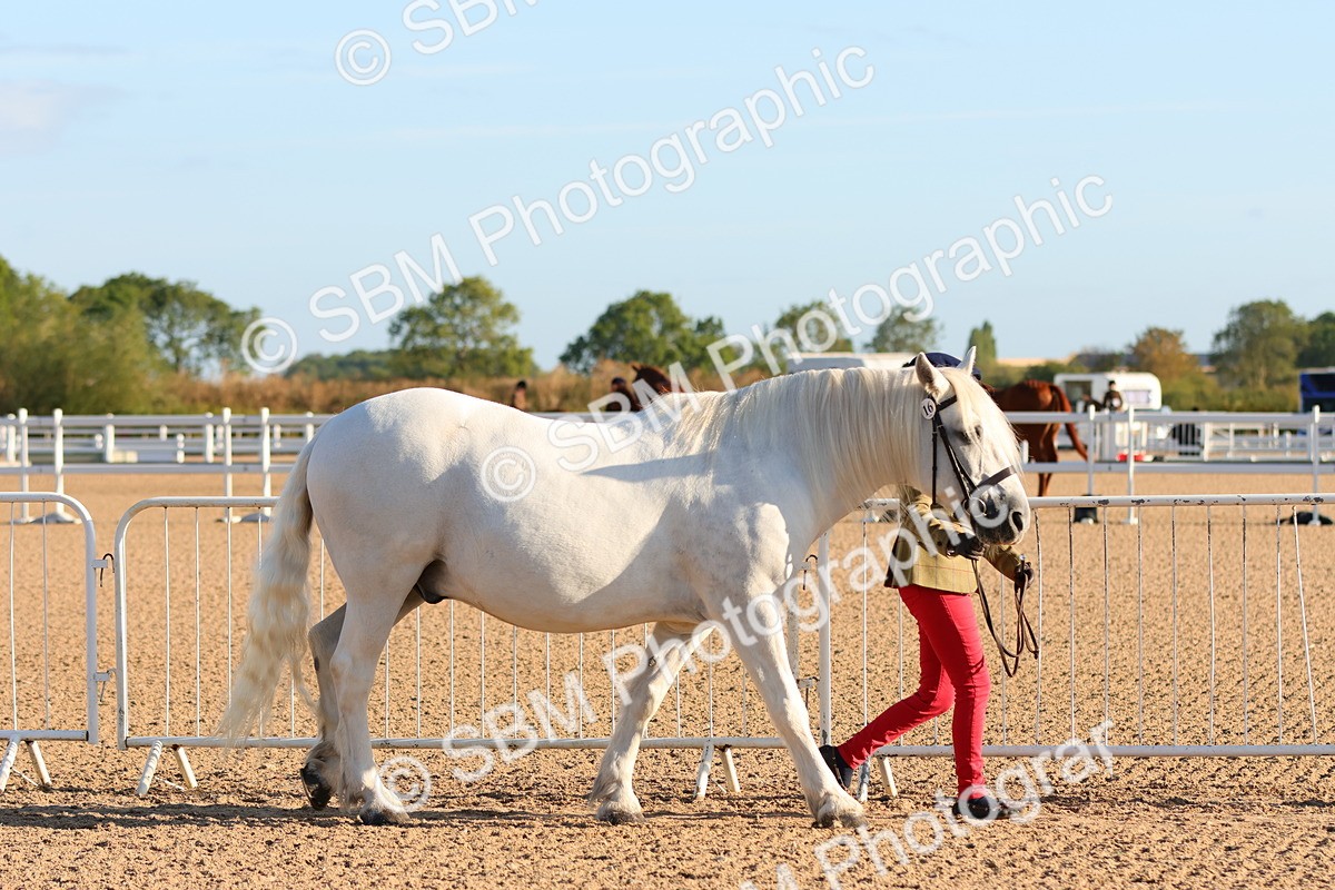SBM_07965 - Class 201 - Best Turned Out - IH