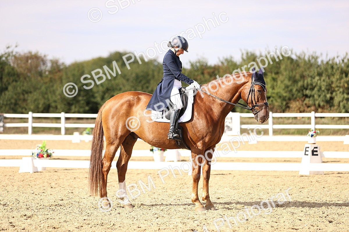 SBM_015515 - Class 11 - FEI PSG