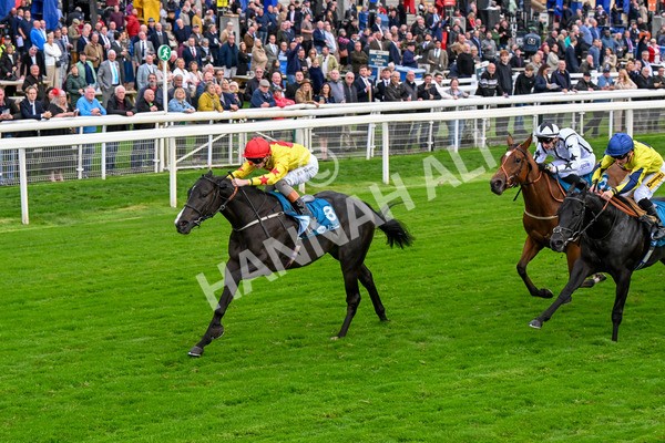 101025-Race 5-Go Vince Go-0406 - Race 5 Parsonage Hotel And Cloisters Spa Nursery Handicap at York
