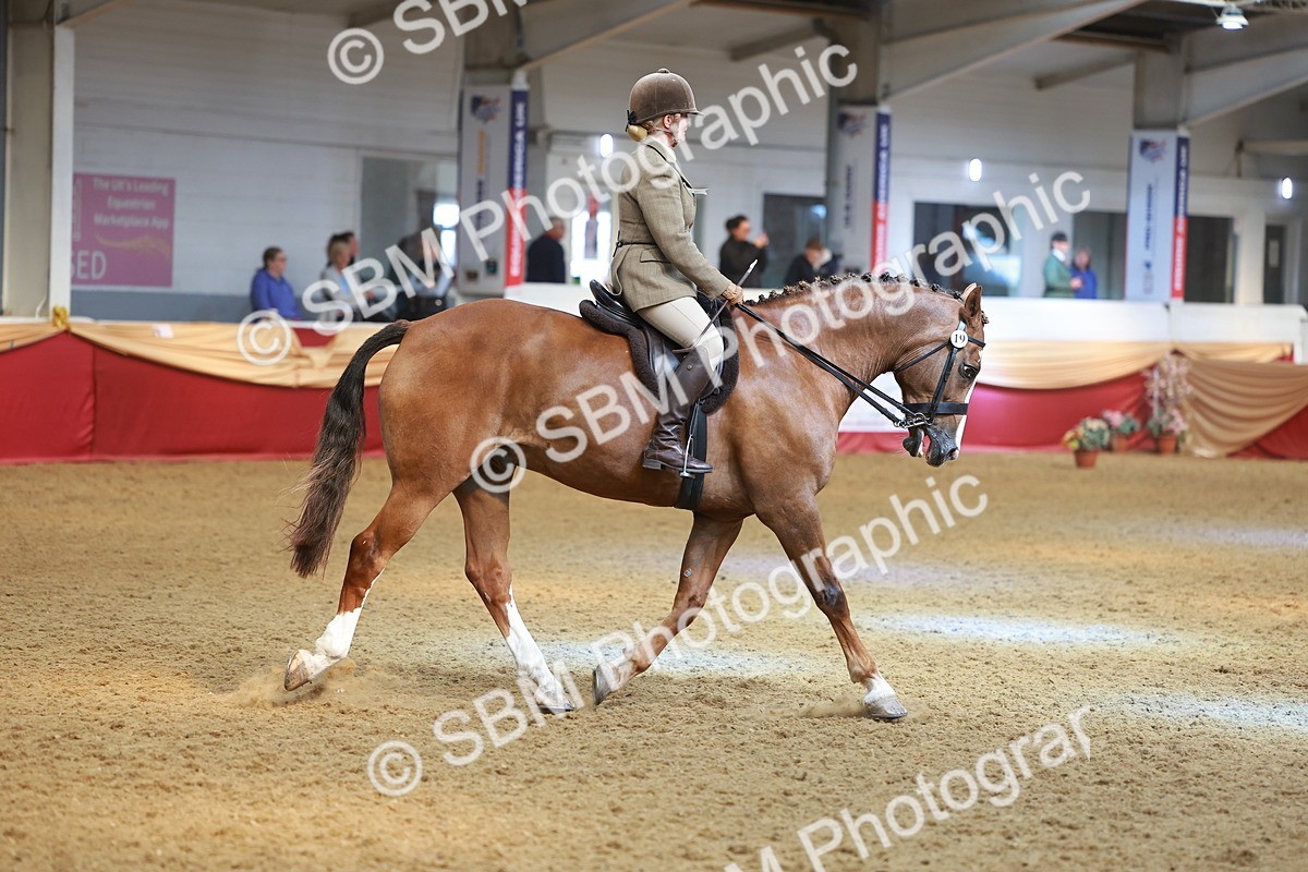 SBM_10628 - Class 103 - HOYS Veteran Qualifier - Ridden Pre Vet