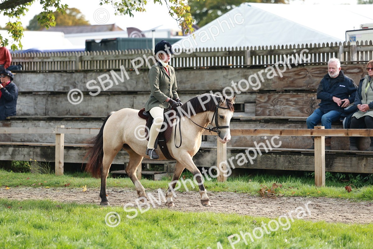 SBM_56332 - S39 - Starters In Hand Showing