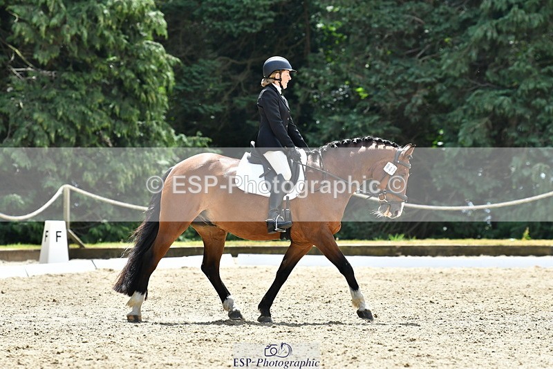 260801A-124533-04044 - Prelim Bronze Break - End
