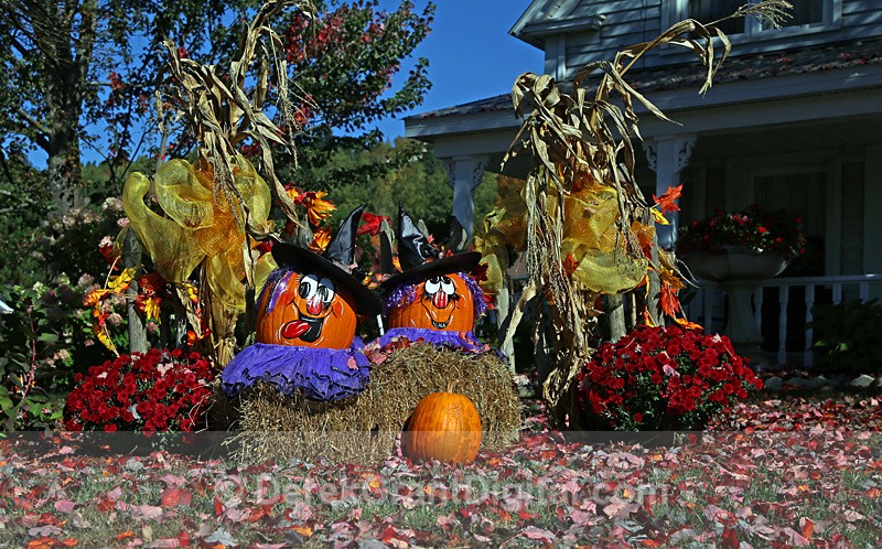 Halloween Display - Autumn Festival