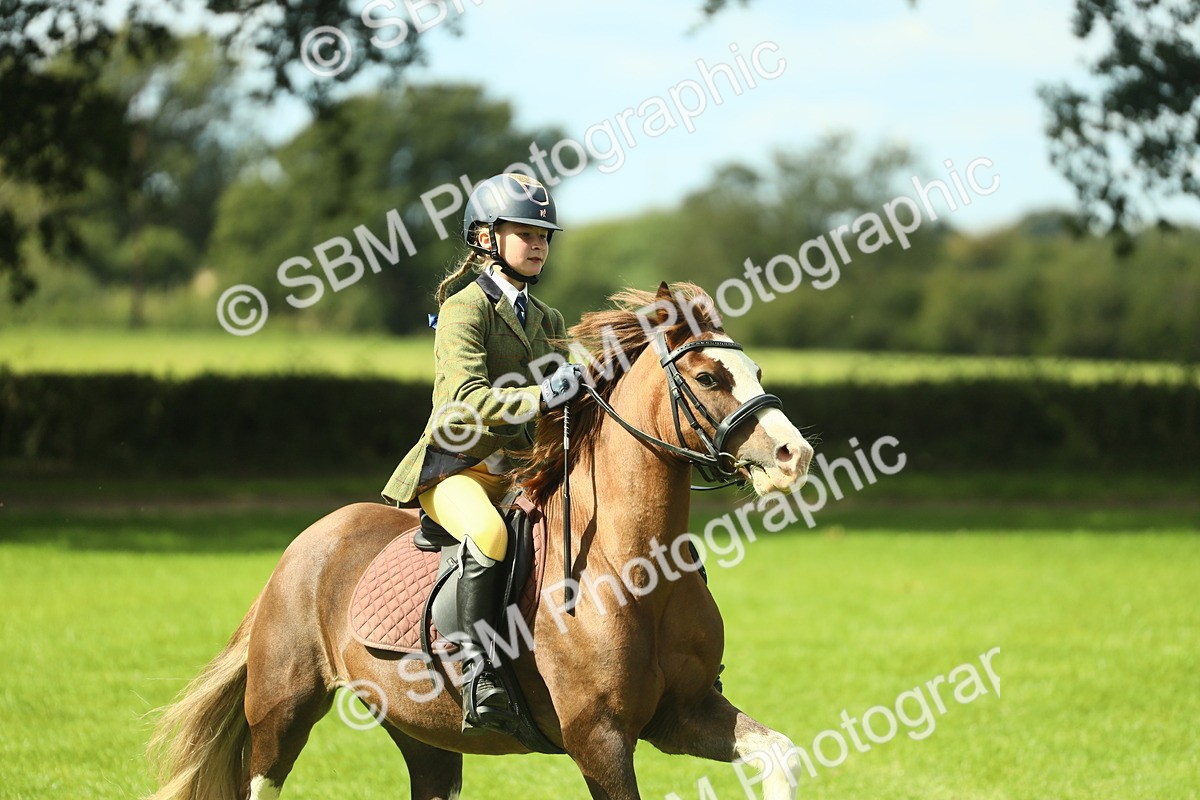 SBM_42842 - S30 - M&M Working hunter Pony