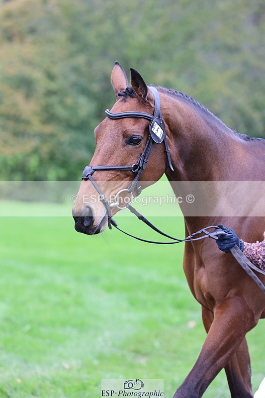 251026A-111335-25319 - F-453-Lucy.Lloyd
