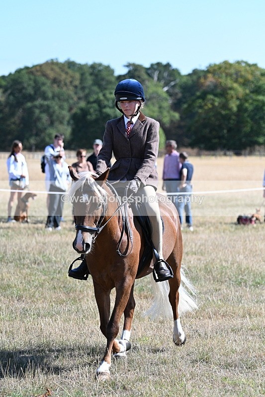 WJ7_4012 - Class 9 Mountain & Moorland Ridden