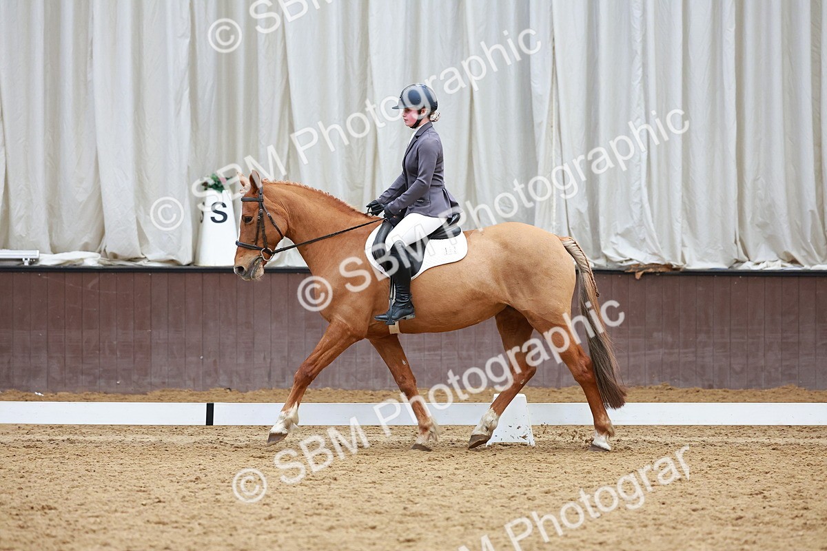 SBM_003818 - Class 11 - Novice 2
