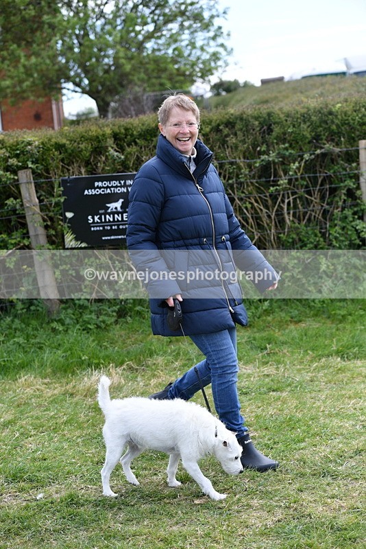 WJ5_0276 - Class 7 Best Terrier