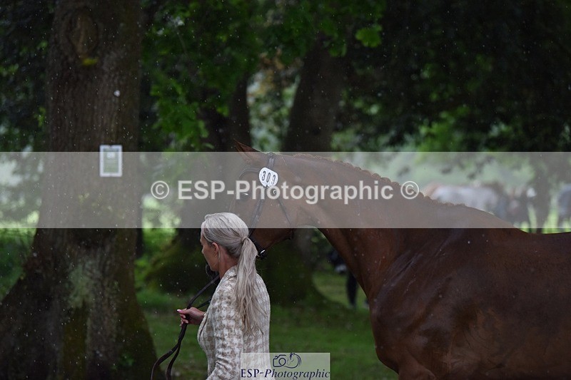 240522-151518-00205 - 309-GOLIATH_DU_LOIR-Yasmin_Ingham