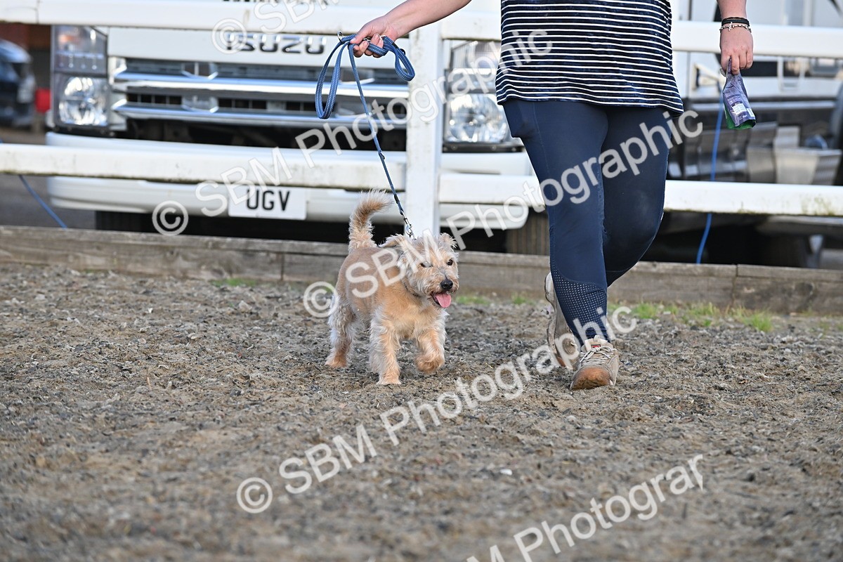 SBM_09476 - Lorry Dogs