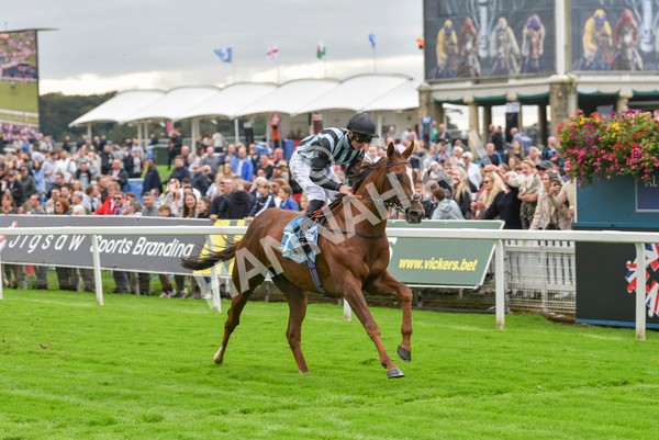 230923-Race 2-Palamon-6050 - Race 2 2.35pm jigsawsportsbranding.co.uk Handicap