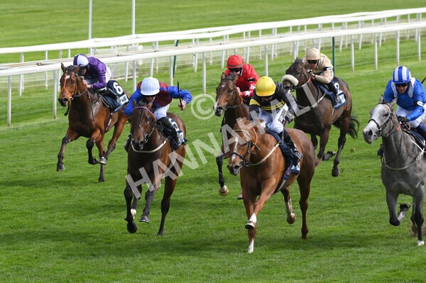 yr12052021r6-8 - Race 6 4.15pm British Stallion Studs EBF Novice Stakes